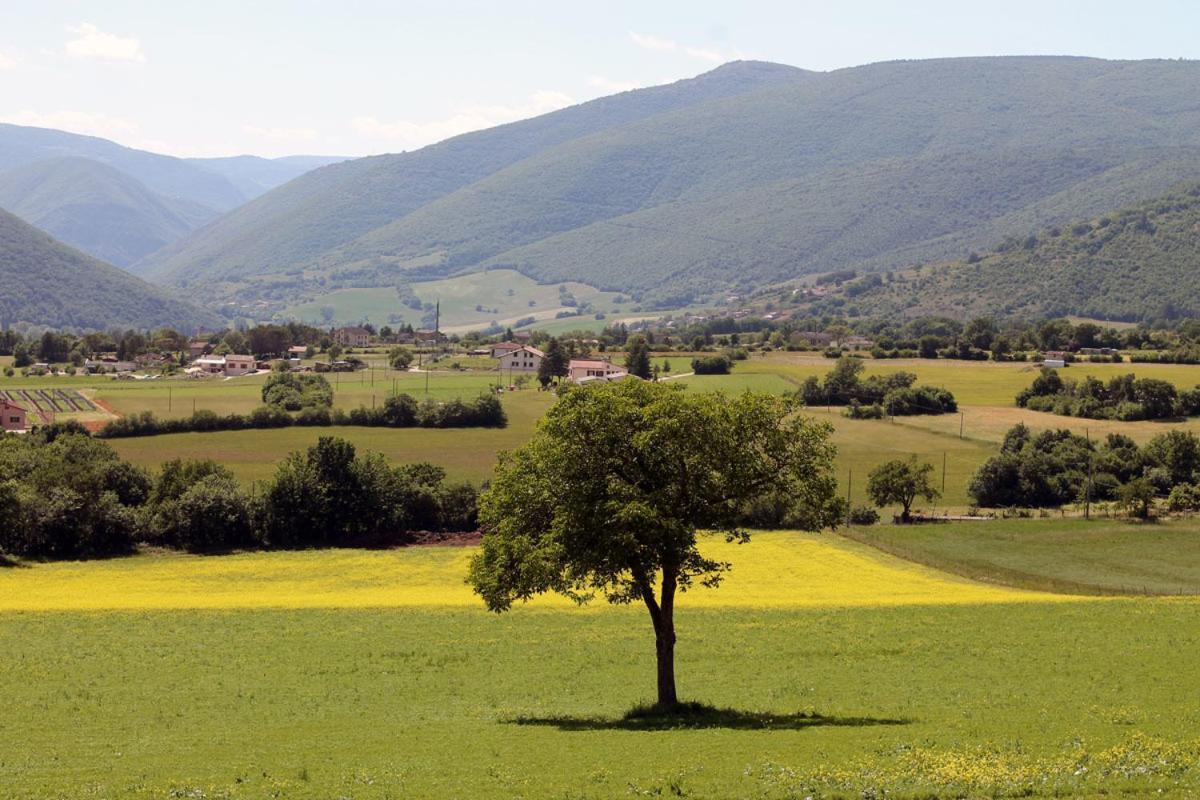 Agriturismo Il Casale Degli Amici Норчія Екстер'єр фото