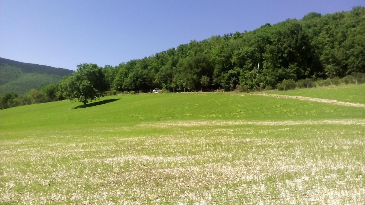 Agriturismo Il Casale Degli Amici Норчія Екстер'єр фото